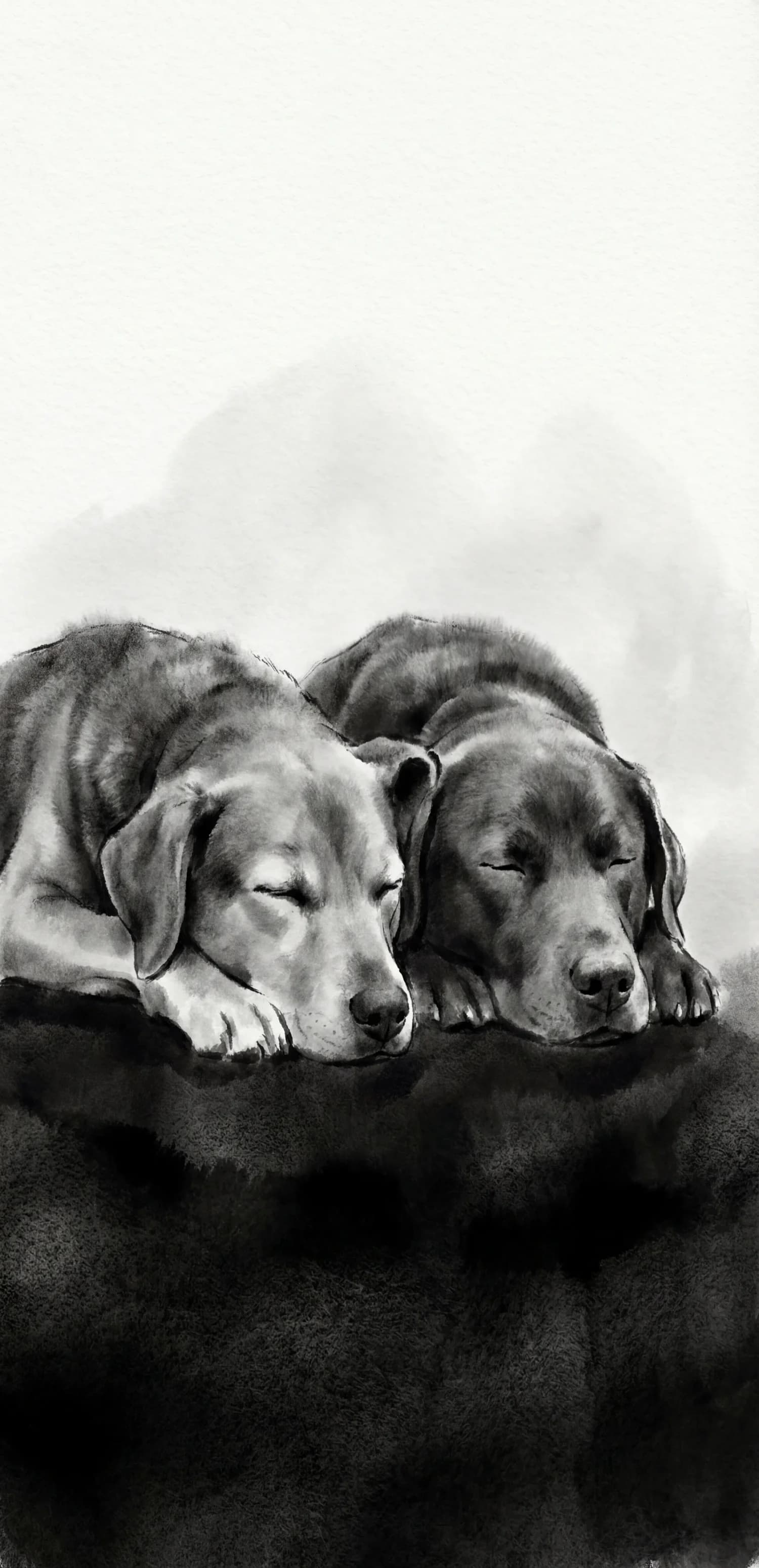 B&W Illustration
