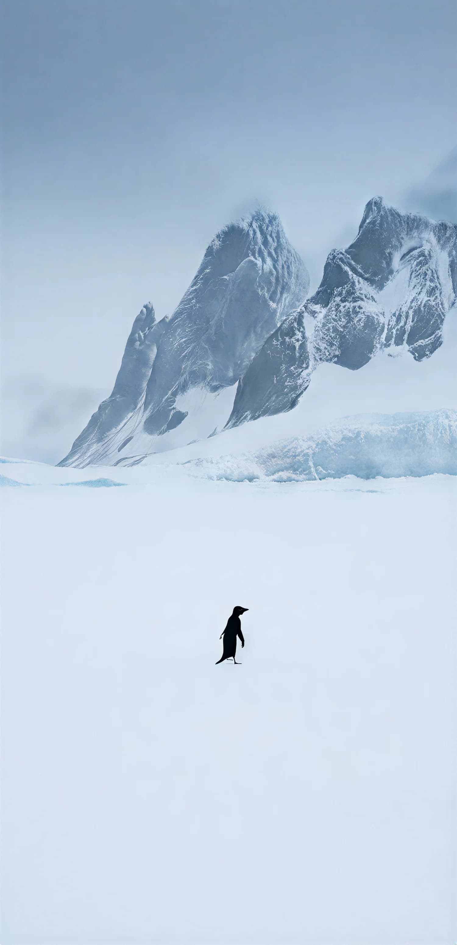 Lonely Penguin Walk