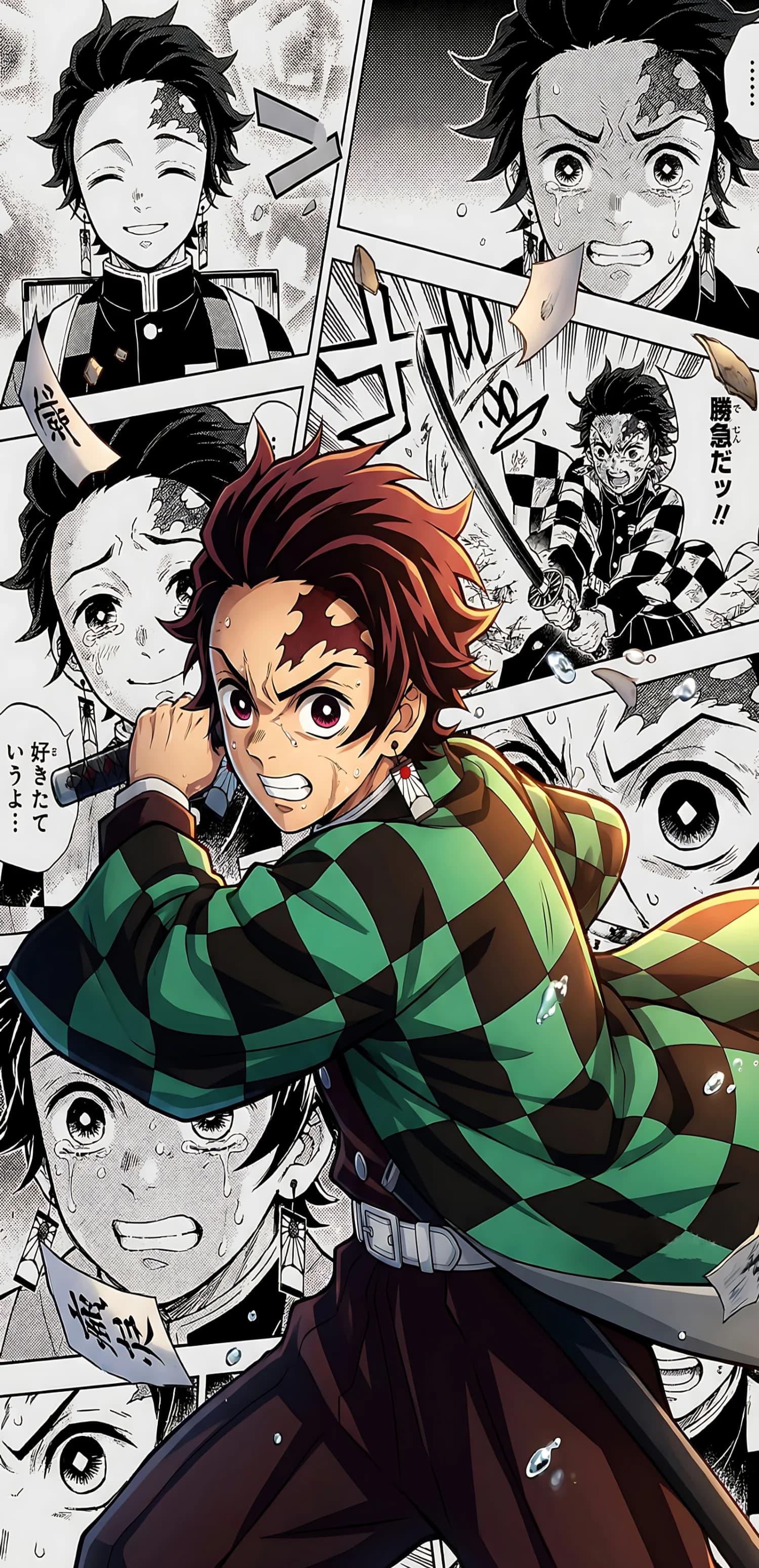 Tanjiro Kamado  — Hinokami Warrior