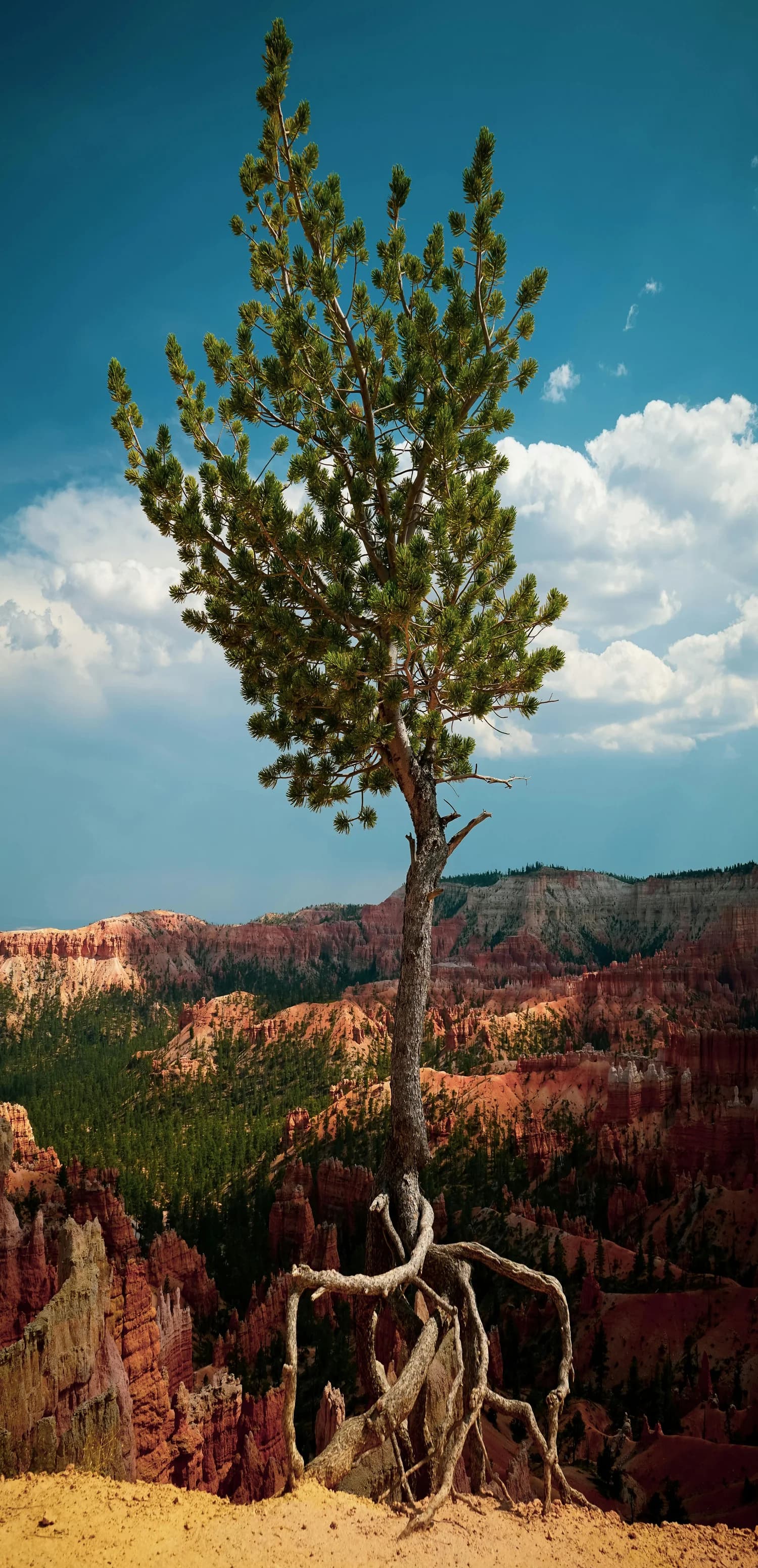 Nature