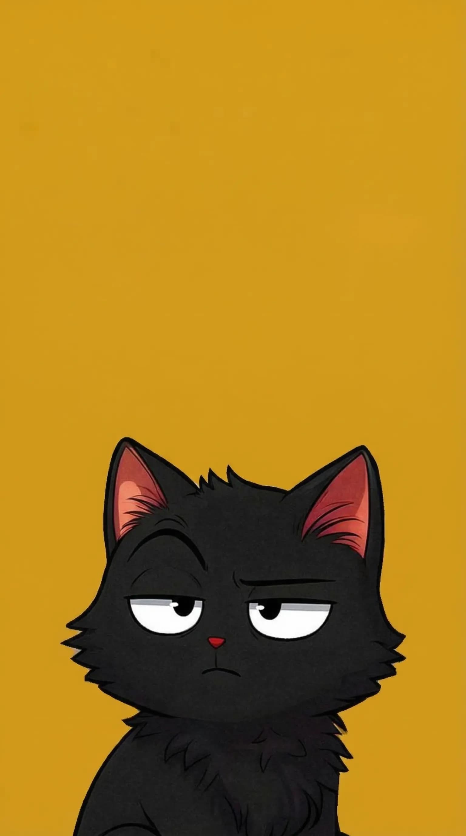 Black cat judging expression