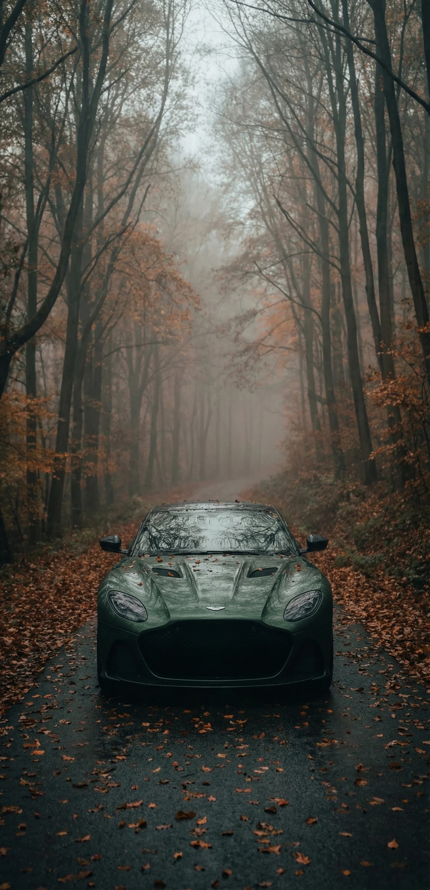 Autumn Road Drive