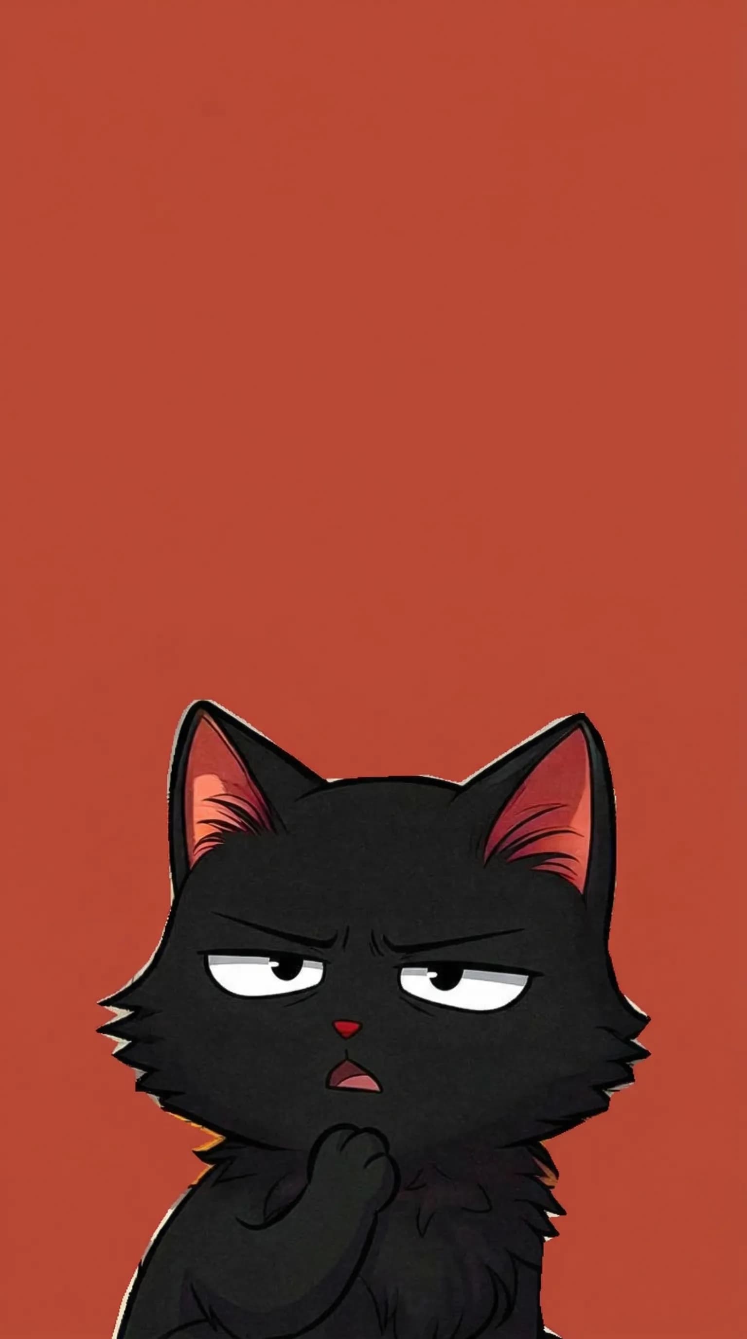 Grumpy Black Cat
