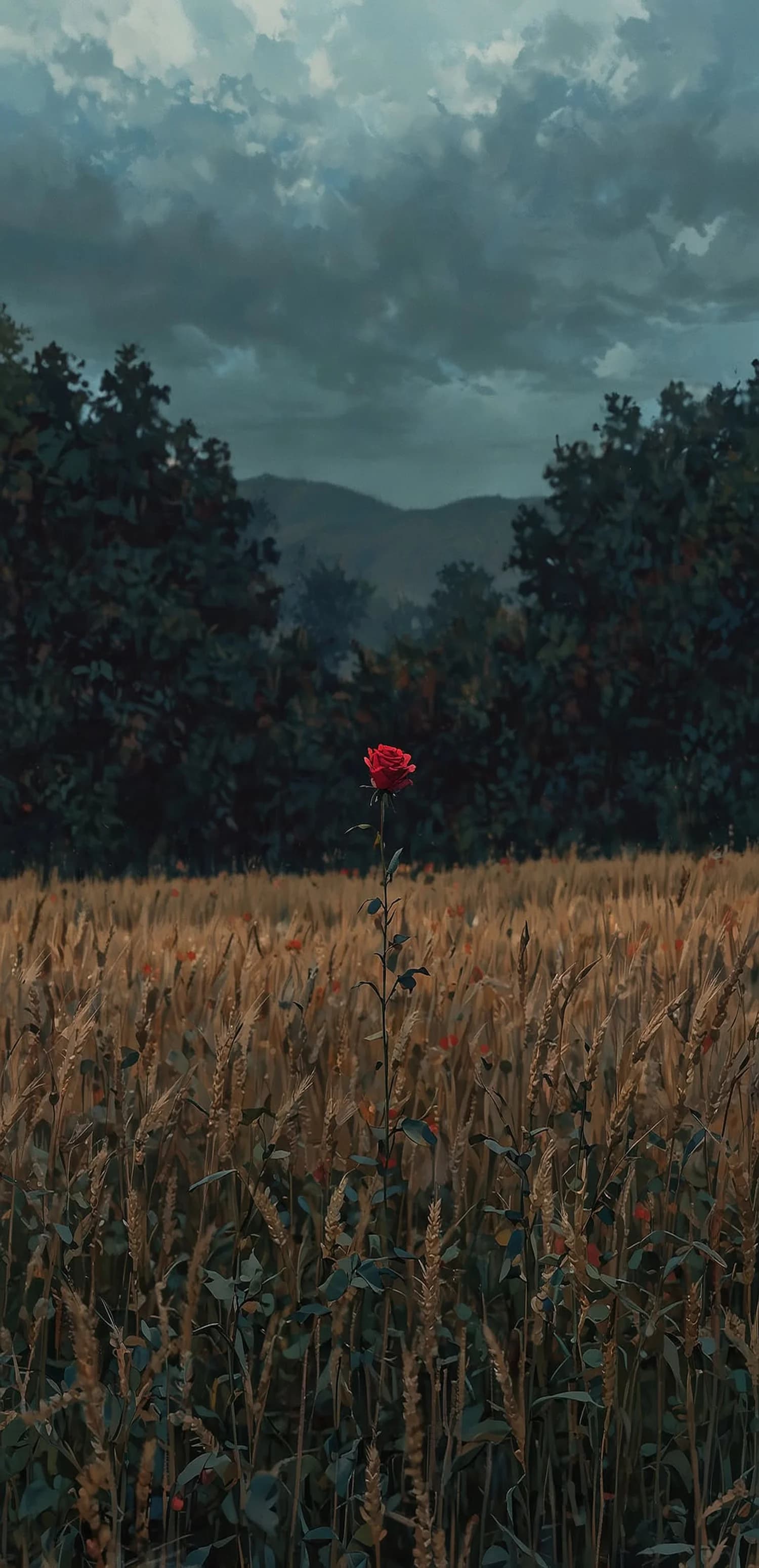 Lonely Red Rose