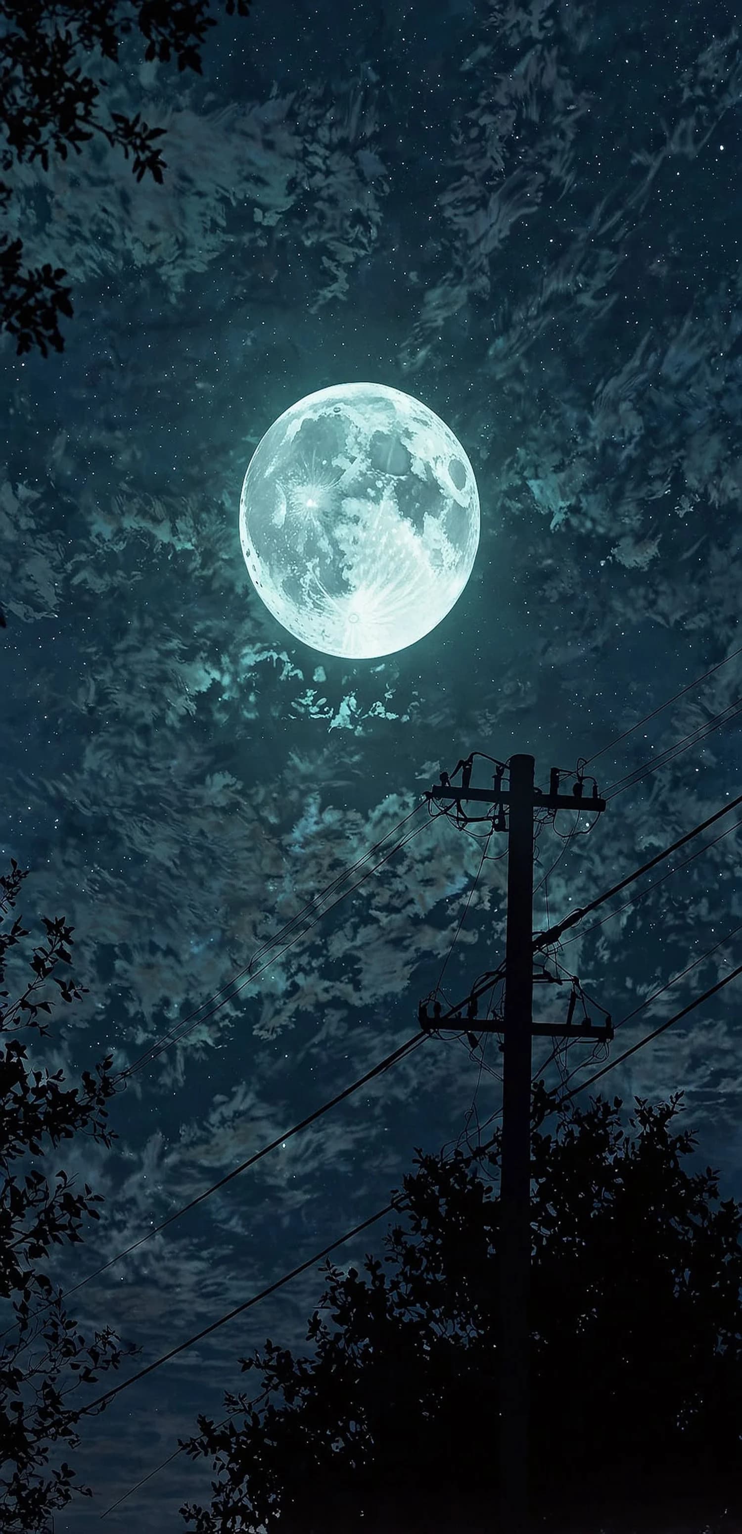 Moonlit Night Sky