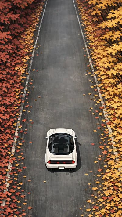Honda NSX Autumn Drive wallpaper thumbnail