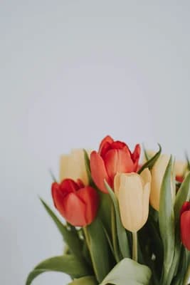 Floral wallpaper thumbnail