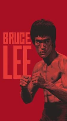 Bruce Lee Fighter