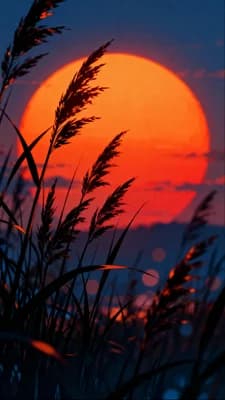 Vibrant Sunset Scene wallpaper thumbnail