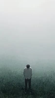 Lost In The Fog wallpaper thumbnail