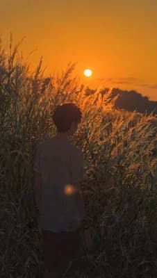 Golden Hour Solitude wallpaper thumbnail