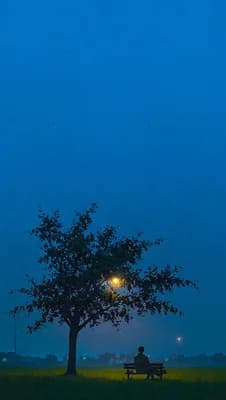 Night Solitude wallpaper thumbnail