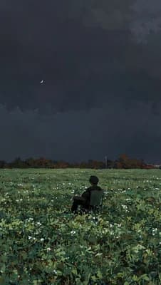 Moonlit Field Solace wallpaper thumbnail