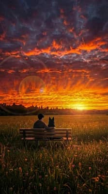 Peaceful Sunset Moment wallpaper thumbnail
