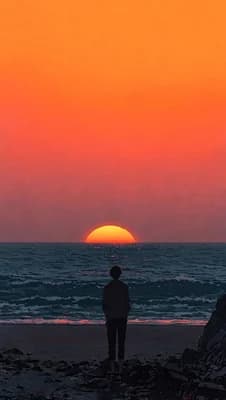 Sunset Sea Solitude wallpaper thumbnail