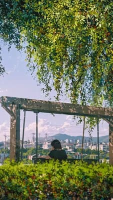 Summer Daydream wallpaper thumbnail