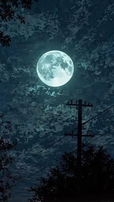 Moonlit Night Sky wallpaper thumbnail