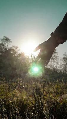 Touching The Sun wallpaper thumbnail